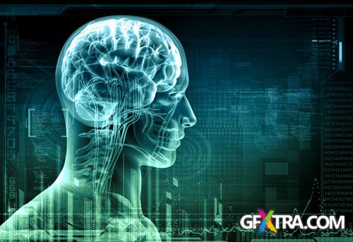 Structure of Human - 25x JPEGs Structure of Human - 25x JPEGs