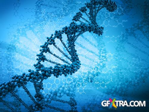 Structure of Human - 25x JPEGs Structure of Human - 25x JPEGs
