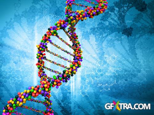 Structure of Human - 25x JPEGs Structure of Human - 25x JPEGs