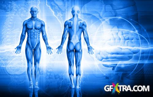 Structure of Human - 25x JPEGs Structure of Human - 25x JPEGs