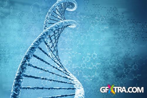 Structure of Human - 25x JPEGs Structure of Human - 25x JPEGs