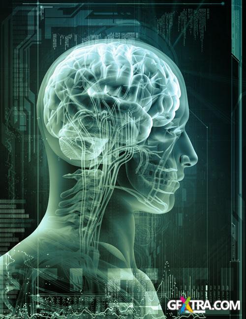 Structure of Human - 25x JPEGs Structure of Human - 25x JPEGs
