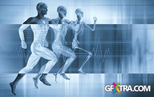 Structure of Human - 25x JPEGs Structure of Human - 25x JPEGs