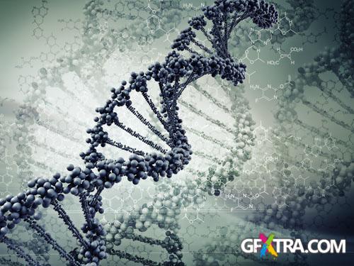 Structure of Human - 25x JPEGs Structure of Human - 25x JPEGs