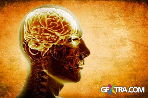 Structure of Human - 25x JPEGs Structure of Human - 25x JPEGs