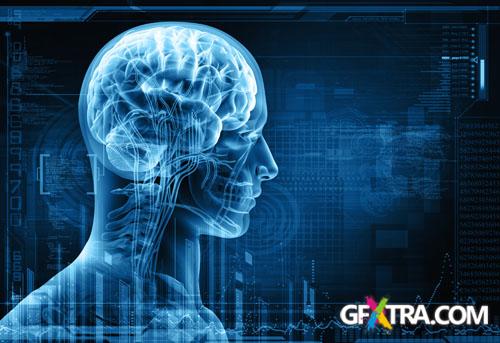 Structure of Human - 25x JPEGs Structure of Human - 25x JPEGs