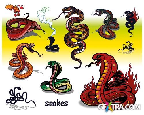 Fascinating Vectors 6, 107xEPS