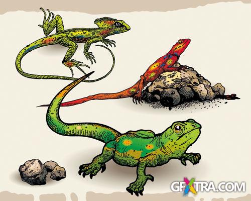 Fascinating Vectors 6, 107xEPS