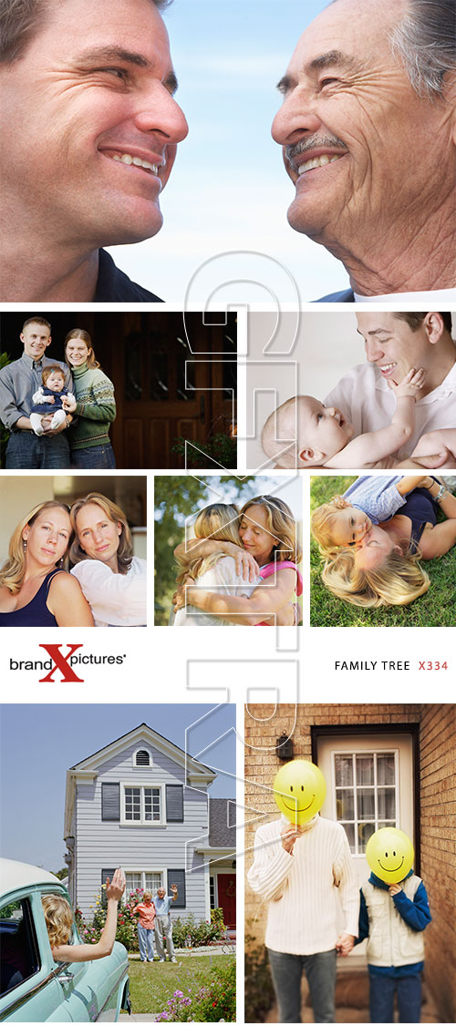 Brand-X X334 Family Tree Brand-X X334 Family Tree