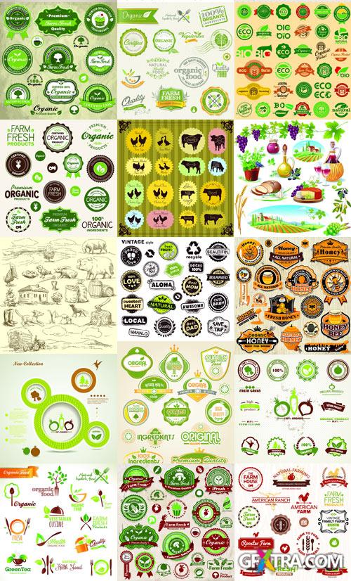 Amazing SS - Farm Fresh, 25xEPS, 1xJPG