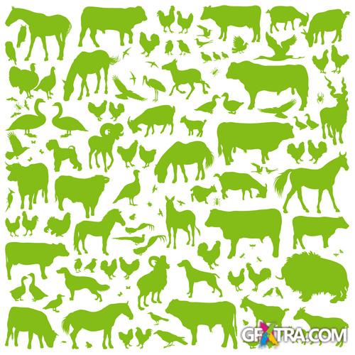 Amazing SS - Farm Fresh, 25xEPS, 1xJPG