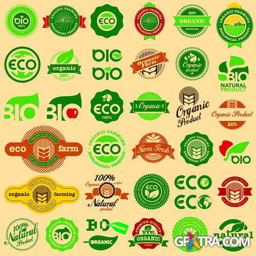 Amazing SS - Farm Fresh, 25xEPS, 1xJPG