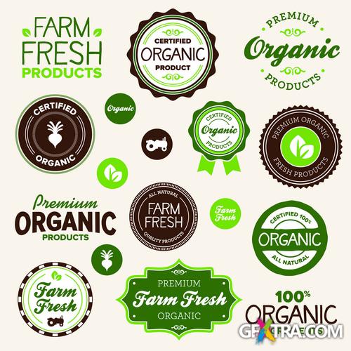 Amazing SS - Farm Fresh, 25xEPS, 1xJPG