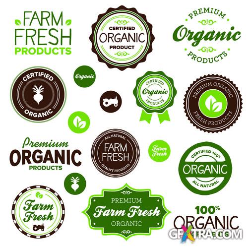 Amazing SS - Farm Fresh, 25xEPS, 1xJPG