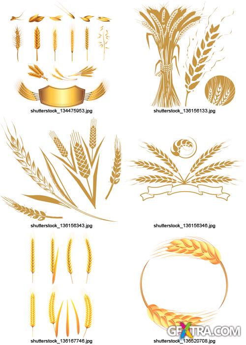 Amazing SS - Bread & Wheat, 25xEPS Amazing SS - Bread & Wheat, 25xEPS