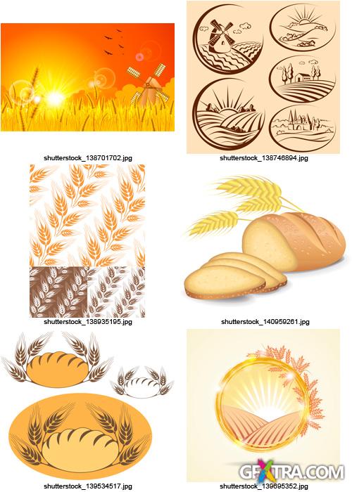 Amazing SS - Bread & Wheat, 25xEPS Amazing SS - Bread & Wheat, 25xEPS