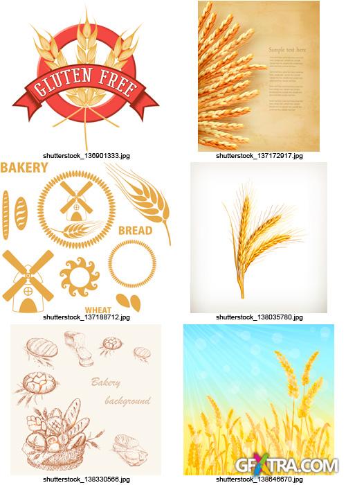 Amazing SS - Bread & Wheat, 25xEPS Amazing SS - Bread & Wheat, 25xEPS