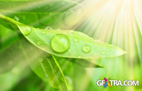 Drops on The Nature #2, 25xJPG