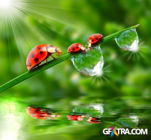 Drops on The Nature #2, 25xJPG