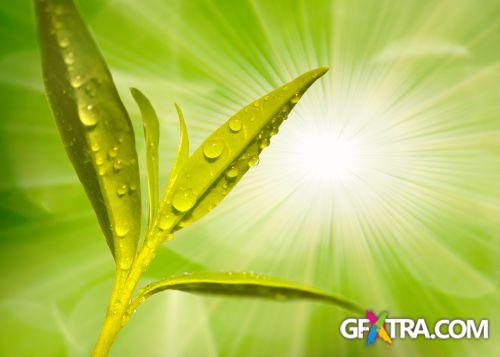 Drops on The Nature #2, 25xJPG