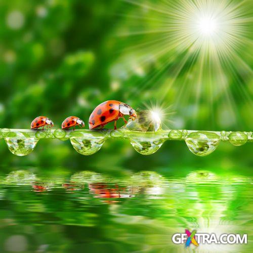 Drops on The Nature #2, 25xJPG