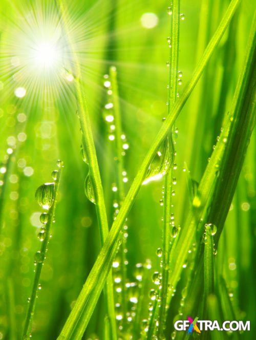 Drops on The Nature #2, 25xJPG