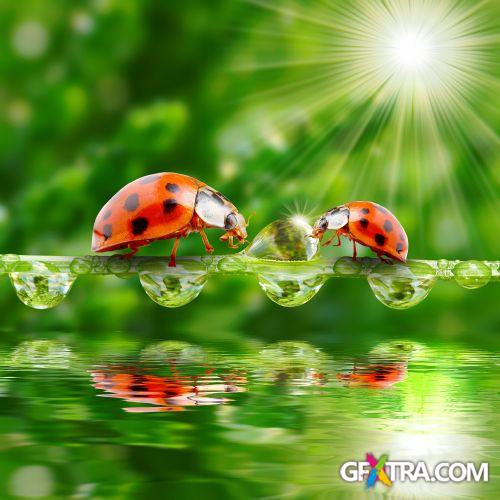 Drops on The Nature #2, 25xJPG