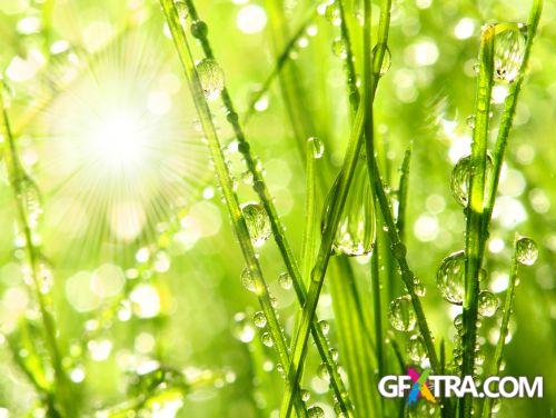 Drops on The Nature #2, 25xJPG