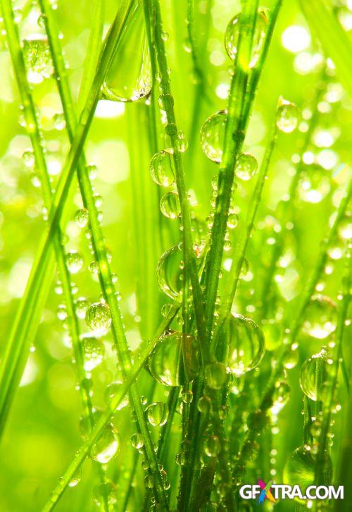 Drops on The Nature #2, 25xJPG