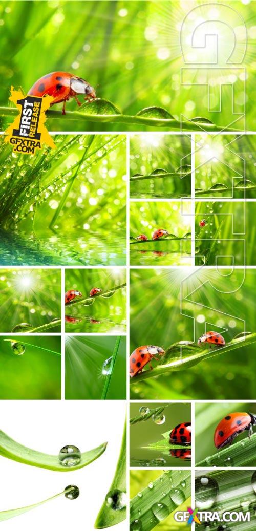 Drops on The Nature #3, 25xJPG Drops on The Nature #3, 25xJPG