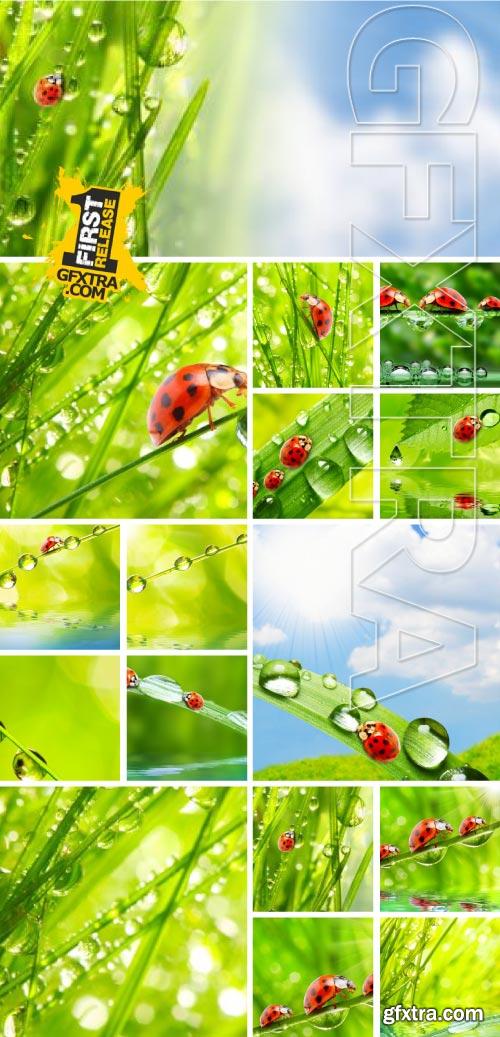 Drops on The Nature #2, 25xJPG Drops on The Nature #2, 25xJPG