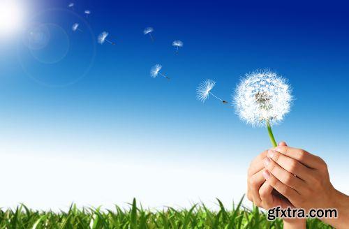 Creative Ideas 25xJPG