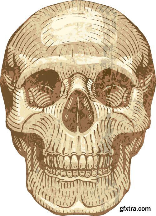 Amazing Skull Design #2, 25xEPS