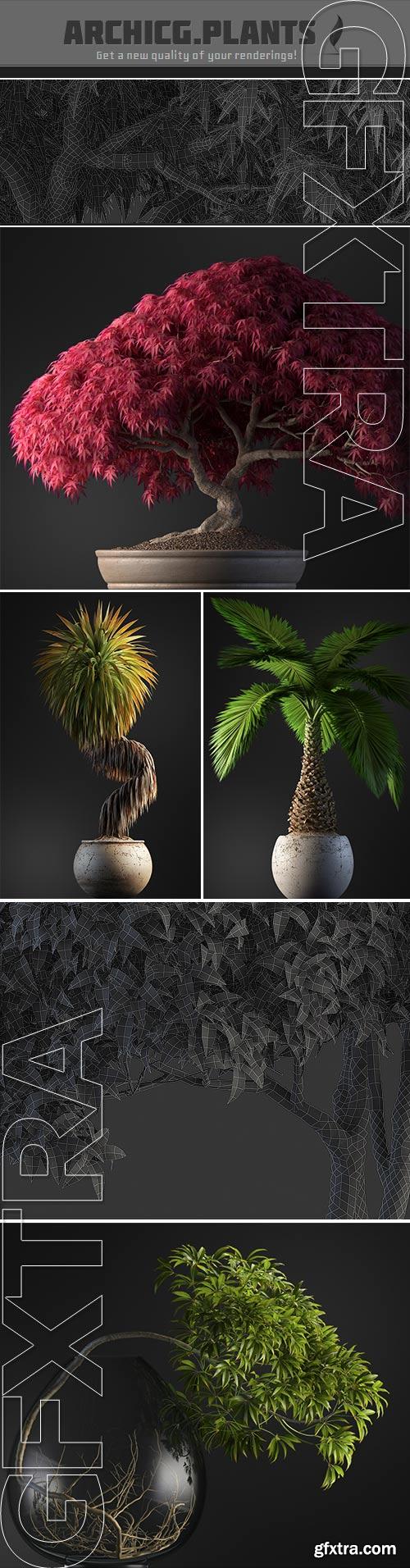 Archicg Plants - Bonsai 4interior v.1