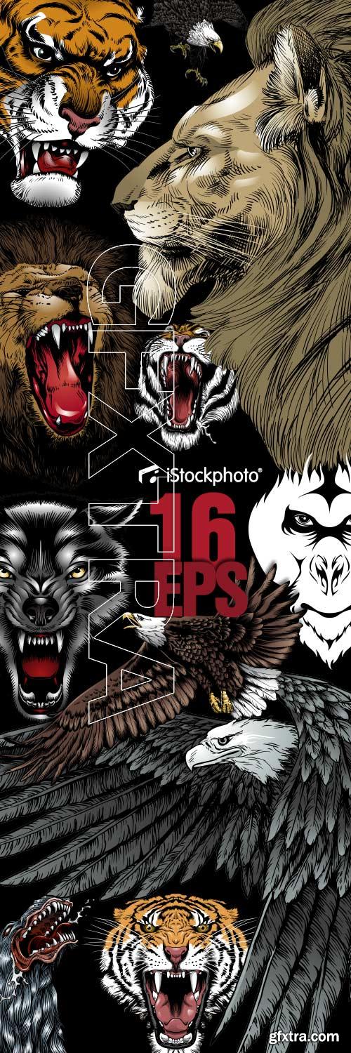 iStockPhoto - Wild Animals 16xEPS