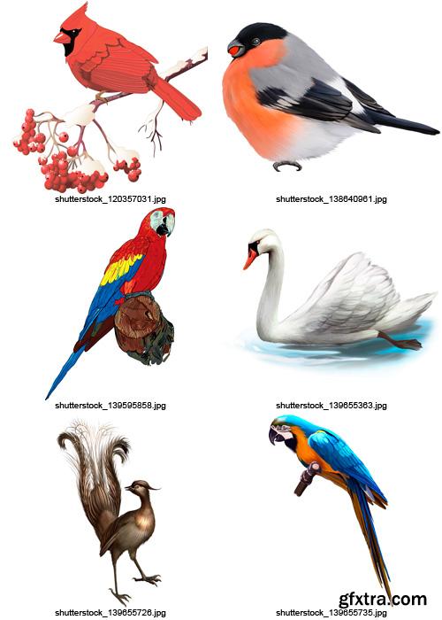 Amazing SS - Collection of Birds, 25xEPS Amazing SS - Collection of Birds, 25xEPS