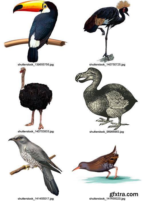 Amazing SS - Collection of Birds, 25xEPS Amazing SS - Collection of Birds, 25xEPS