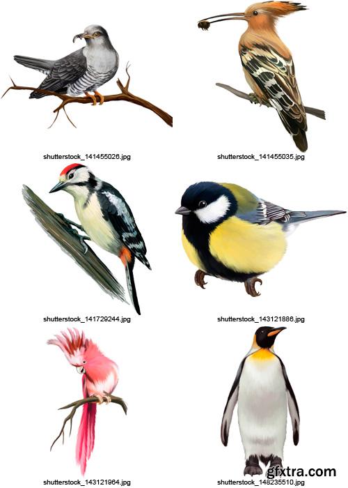 Amazing SS - Collection of Birds, 25xEPS Amazing SS - Collection of Birds, 25xEPS