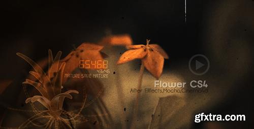 Videohive Flowers CS4 - After Effects Project