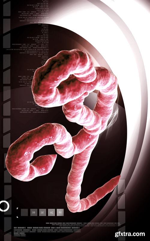 Medical Technology 25xJPG Medical Technology 25xJPG