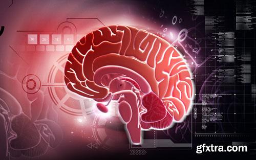 Medical Technology 25xJPG Medical Technology 25xJPG