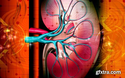 Medical Technology 25xJPG Medical Technology 25xJPG