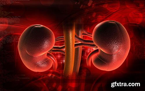 Medical Technology 25xJPG Medical Technology 25xJPG