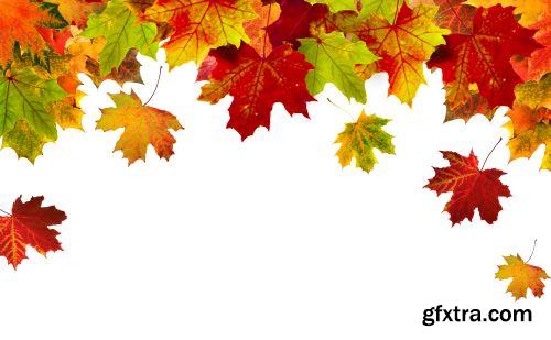 Autumn is Coming #2, 25xJPG