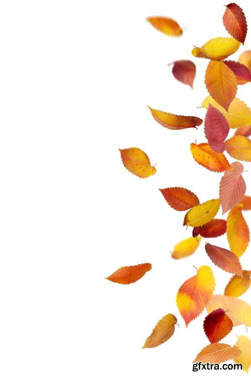 Autumn is Coming #2, 25xJPG