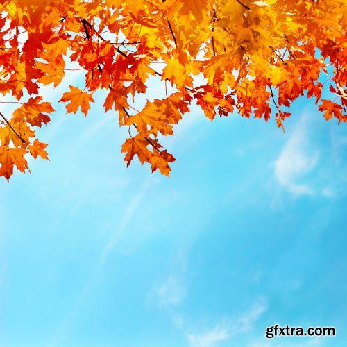 Autumn is Coming #2, 25xJPG