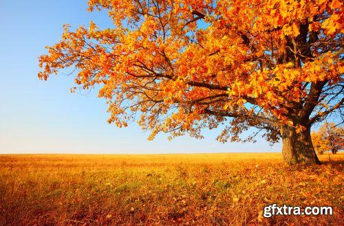 Autumn is Coming #2, 25xJPG