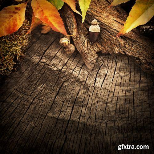 Autumn is Coming #2, 25xJPG