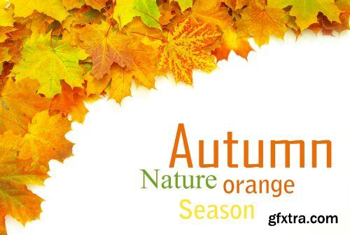 Autumn is Coming #2, 25xJPG