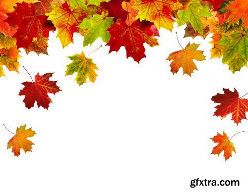 Autumn is Coming #3, 25xJPG